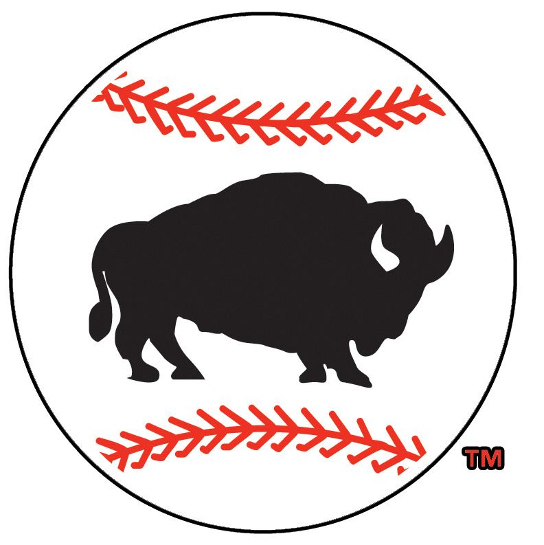 Buffalo Bisons 2005-2008 Alternate Logo iron on heat transfer